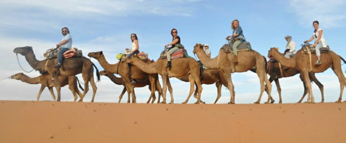 Contact us Oudy Tours - Private Guided Tours - The Morocco Travel Company Contact us Oudy Tours - Private Guided Tours - The Morocco Travel Company